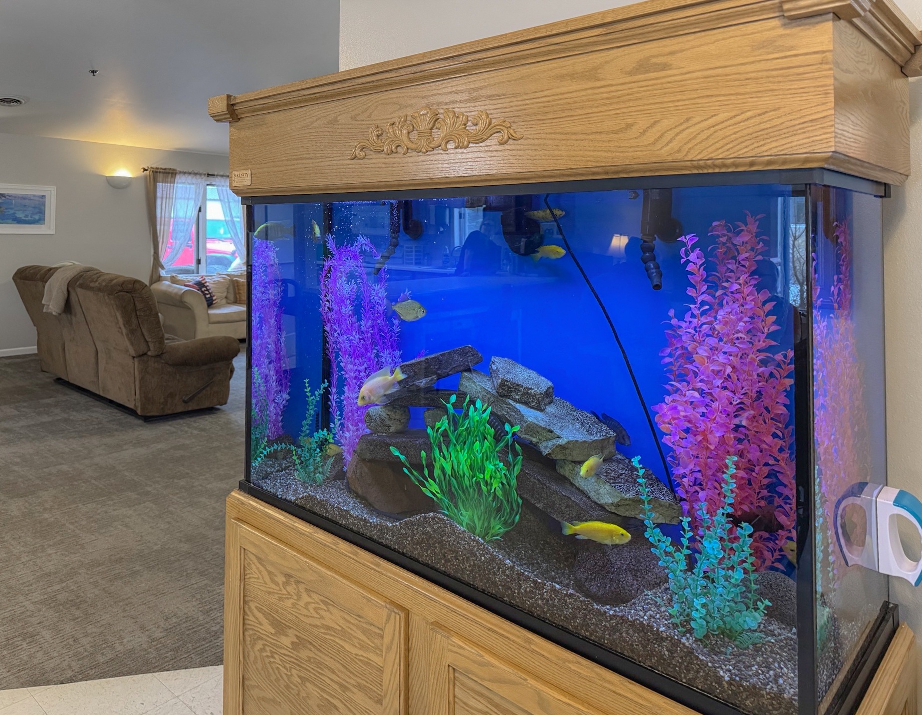 A fish tank with a wooden cabinet above it.